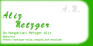 aliz metzger business card
